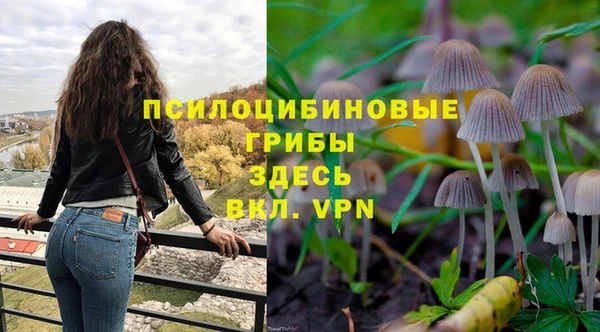сатива Балабаново