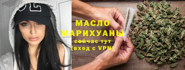 гидра Бородино