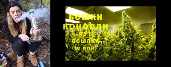 гидра Бородино