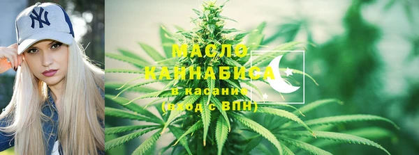 гидра Бородино