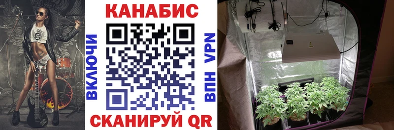 Каннабис планчик  Кировск 